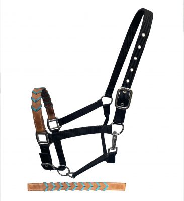 Showman Black Nylon halter with Argentina cow leather braided accent nose #2